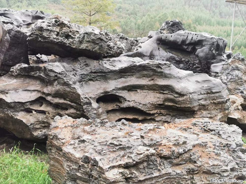风景石、假山石大量有货，有需要的欢迎联系 - 新手上路 - 东莞生活社区 - 东莞28生活网 dg.28life.net