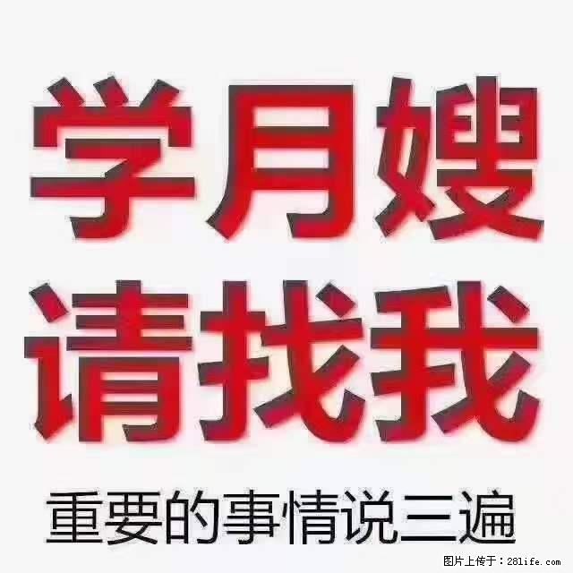 为什么要学习月嫂，育婴师？ - 新手上路 - 东莞生活社区 - 东莞28生活网 dg.28life.net