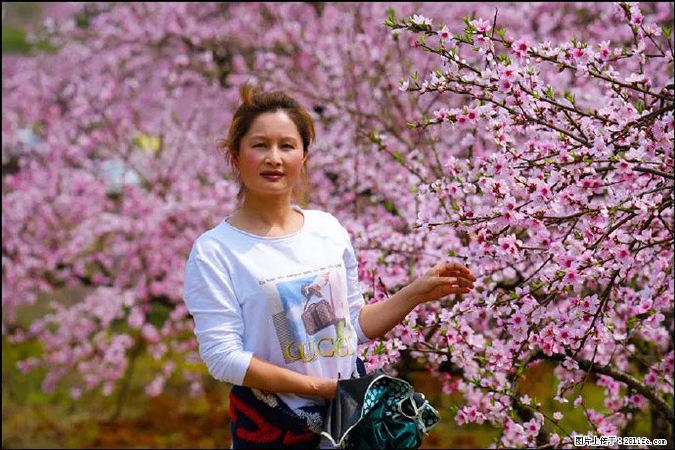 【春天，广西桂林灌阳县向您发出邀请！】官庄村有个醉美的桃花园 - 游山玩水 - 东莞生活社区 - 东莞28生活网 dg.28life.net