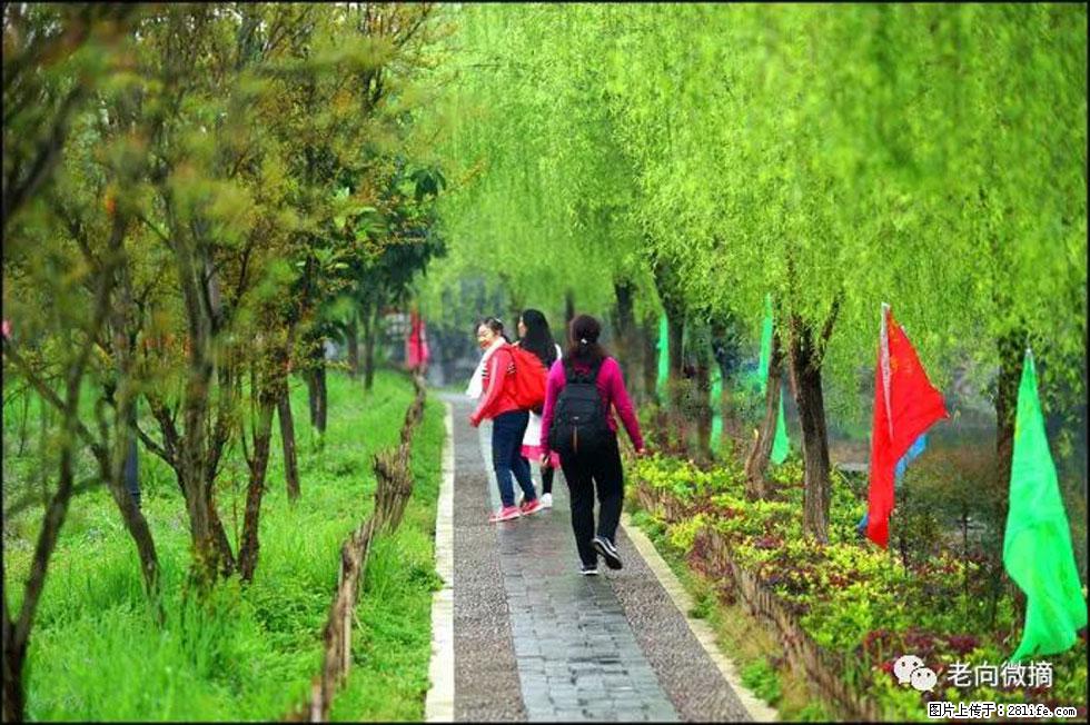 【春天，广西桂林灌阳县向您发出邀请！】江口老街又逢春 - 游山玩水 - 东莞生活社区 - 东莞28生活网 dg.28life.net