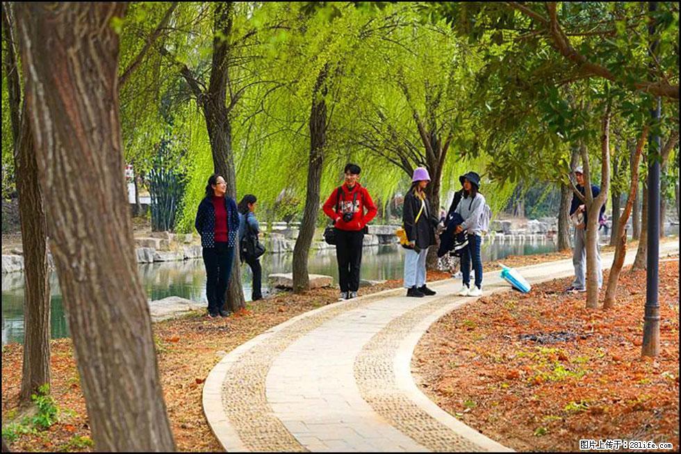 【春天，广西桂林灌阳县向您发出邀请！】江口老街又逢春 - 游山玩水 - 东莞生活社区 - 东莞28生活网 dg.28life.net