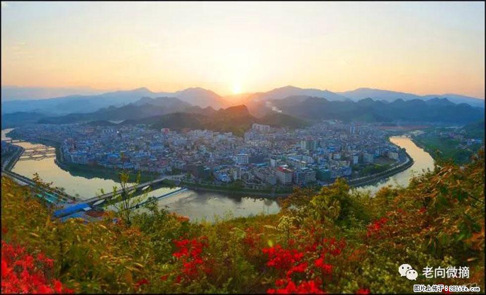 【春天，广西桂林灌阳县向您发出邀请！】登麒麟山，相约映山红 - 游山玩水 - 东莞生活社区 - 东莞28生活网 dg.28life.net
