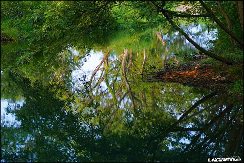 【春天，广西桂林灌阳县向您发出邀请！】熊家寨湿地公园 - 游山玩水 - 东莞生活社区 - 东莞28生活网 dg.28life.net