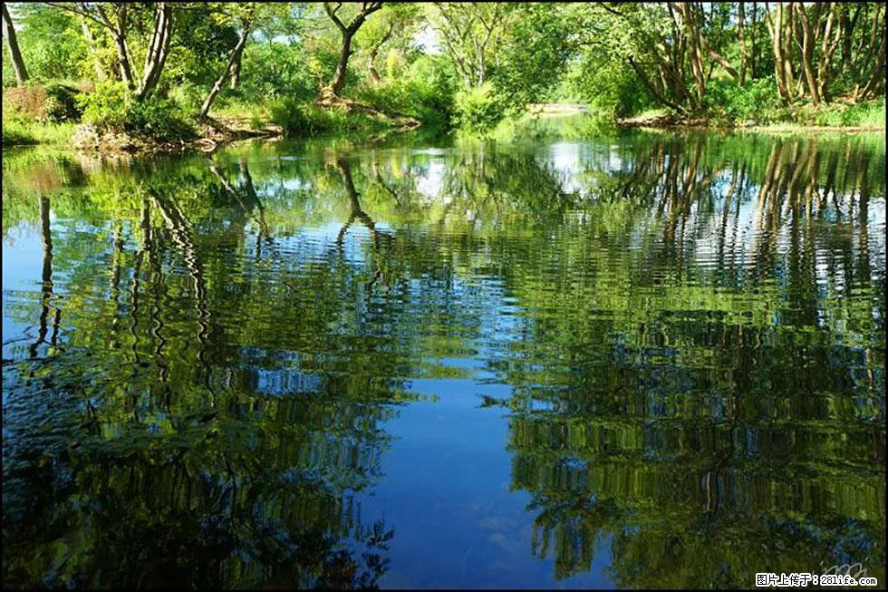 【春天，广西桂林灌阳县向您发出邀请！】熊家寨湿地公园 - 游山玩水 - 东莞生活社区 - 东莞28生活网 dg.28life.net