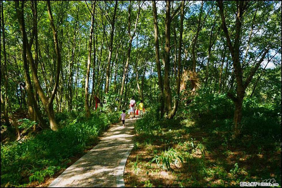 【春天，广西桂林灌阳县向您发出邀请！】熊家寨湿地公园 - 游山玩水 - 东莞生活社区 - 东莞28生活网 dg.28life.net