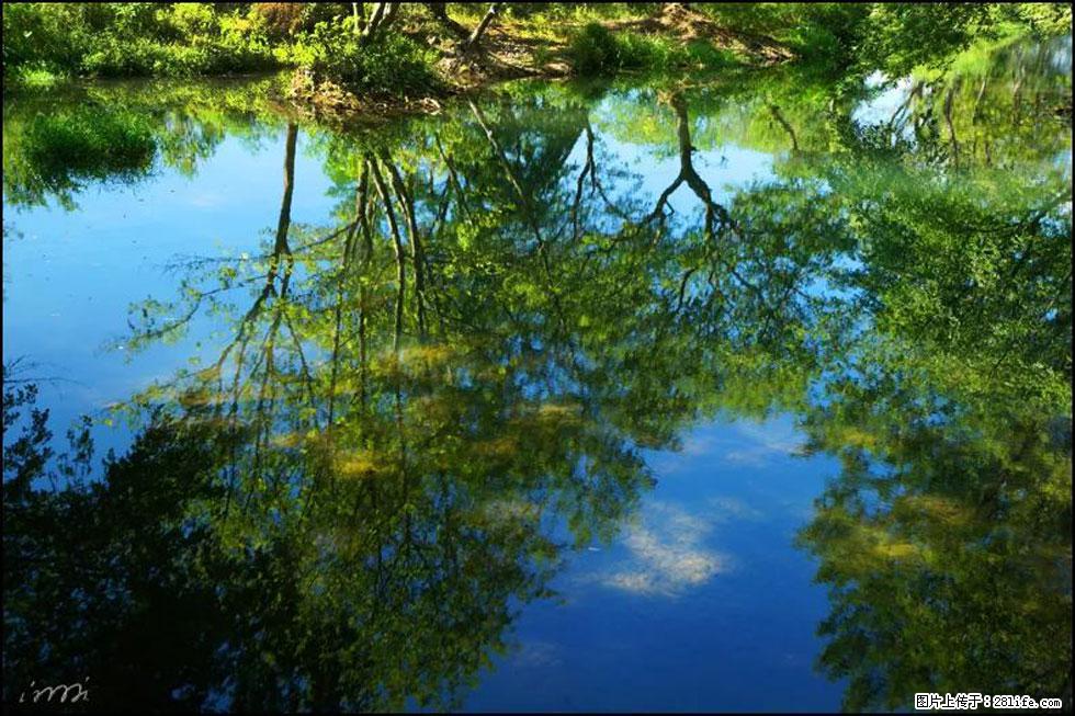 【春天，广西桂林灌阳县向您发出邀请！】熊家寨湿地公园 - 游山玩水 - 东莞生活社区 - 东莞28生活网 dg.28life.net