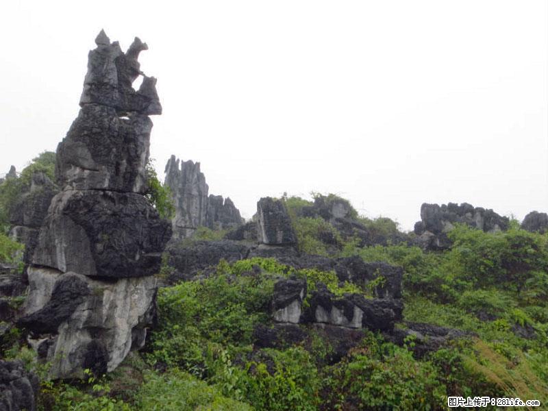 桂林旅游名城景点：灌阳文市石林 - 游山玩水 - 东莞生活社区 - 东莞28生活网 dg.28life.net