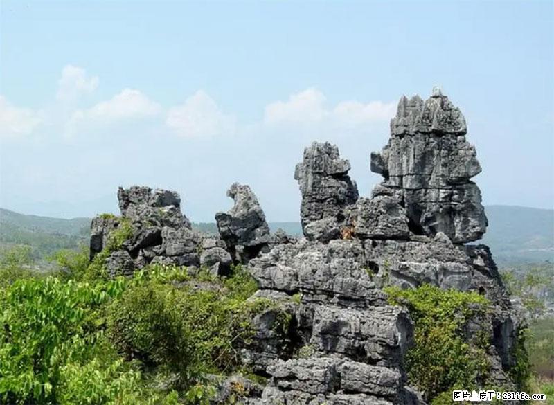 桂林旅游名城景点：灌阳文市石林 - 游山玩水 - 东莞生活社区 - 东莞28生活网 dg.28life.net