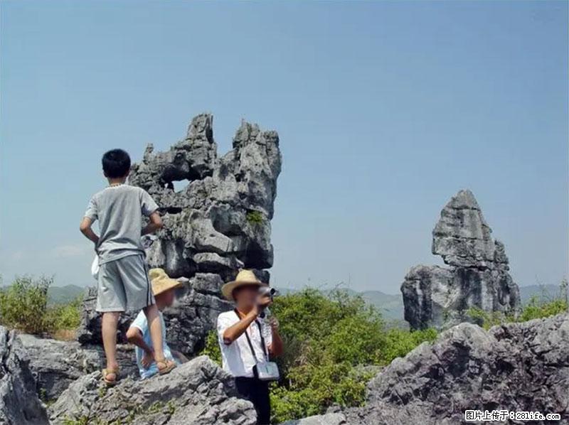 桂林旅游名城景点：灌阳文市石林 - 游山玩水 - 东莞生活社区 - 东莞28生活网 dg.28life.net