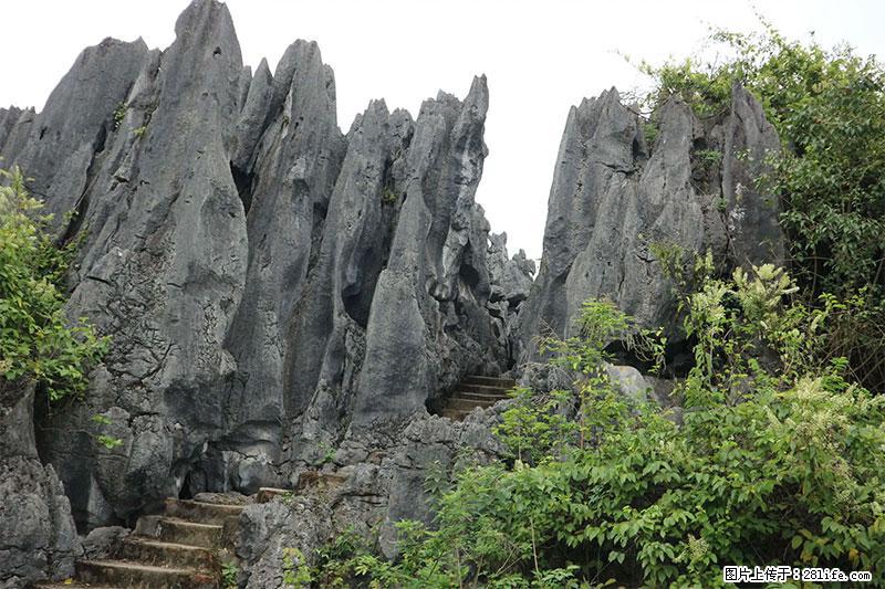 桂林旅游名城景点：灌阳文市石林 - 游山玩水 - 东莞生活社区 - 东莞28生活网 dg.28life.net