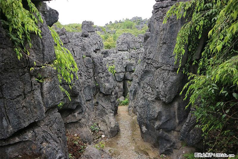 桂林旅游名城景点：灌阳文市石林 - 游山玩水 - 东莞生活社区 - 东莞28生活网 dg.28life.net