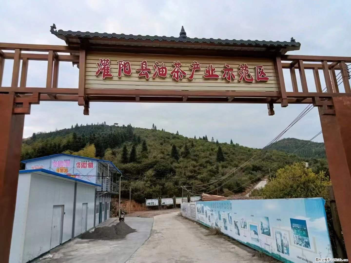 【灌阳县油茶产业示范区】一个有着充实的精神生活的人，对待身外之物自会有一种淡泊的态度 - 土特产 - 饮食特产 - 东莞分类信息 - 东莞28生活网 dg.28life.net