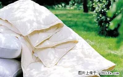 被子有异味？只要这样做，比晒太阳还强100倍！ - 家居生活 - 东莞生活社区 - 东莞28生活网 dg.28life.net