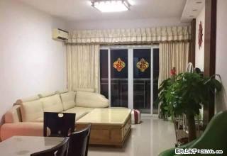 凤岗沃尔玛三正财富新地三房两厅两卫精装修仅租2800！ - 东莞28生活网 dg.28life.net