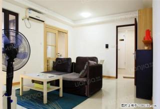 万科城3房出租 精装修朝南 房子温馨雅致有家的感觉 - 东莞28生活网 dg.28life.net