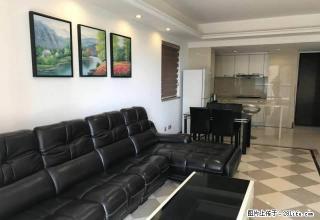万科虹溪诺雅 真皮家私高档家电 商务住宅之选 拎包入住 安静 - 东莞28生活网 dg.28life.net