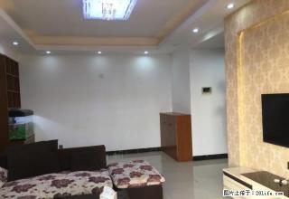 香树丽舍 精装新三房 家电齐全 拎包入住 居家不二之选 - 东莞28生活网 dg.28life.net