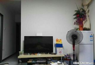森林公园里 浪琴花园精装三房两厅招租 随时看房 拎包即住 - 东莞28生活网 dg.28life.net