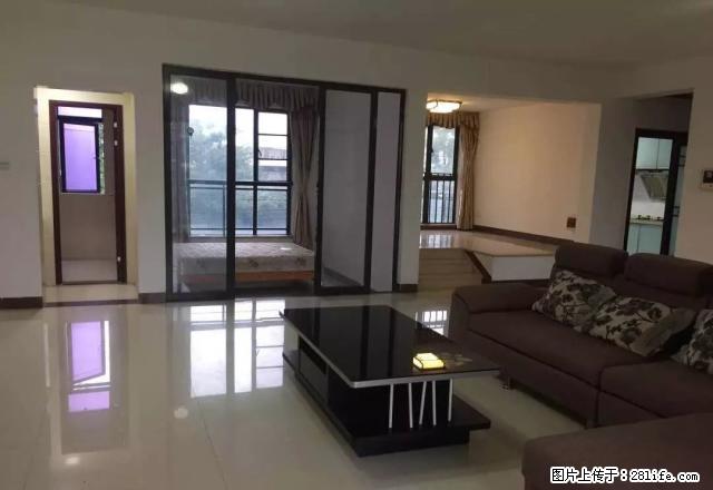 金域中央 家庭入住的选择 精装修只租4500 - 房屋出租 - 房屋租售 - 东莞分类信息 - 东莞28生活网 dg.28life.net