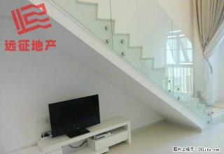 星河传说 迪纳公寓 家电全新 采光好 温馨舒适 可拎包入住 - 东莞28生活网 dg.28life.net