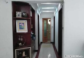 万江湿地公园龙新雅居电梯大三房，一口价1700元。 - 东莞28生活网 dg.28life.net