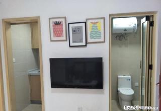 中天悦府青年公寓 精装修 拎包入住家私电器全1400/月 - 东莞28生活网 dg.28life.net