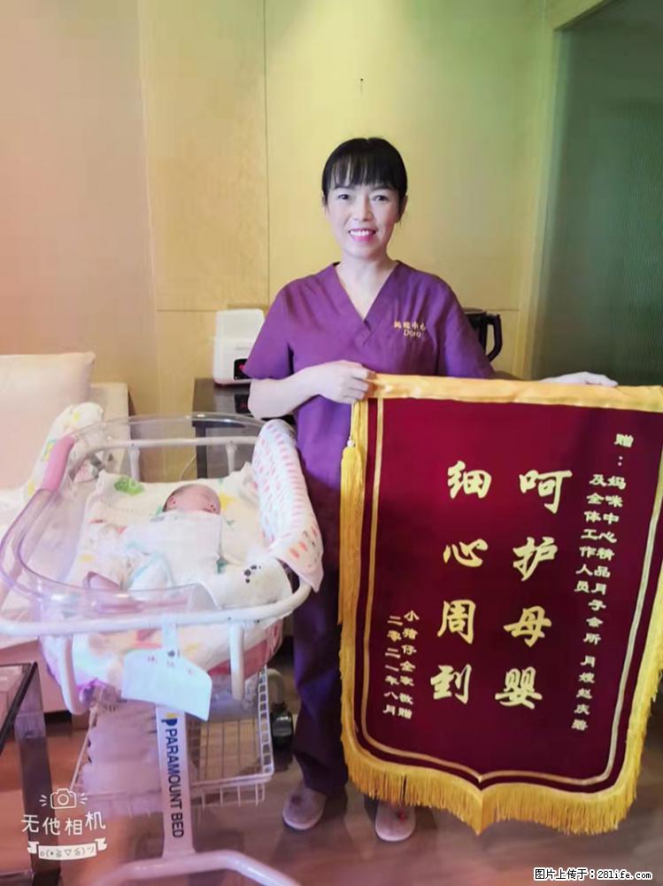 上海高端月子会所招新手月嫂，零基础带教，包吃住 - 职场交流 - 东莞生活社区 - 东莞28生活网 dg.28life.net