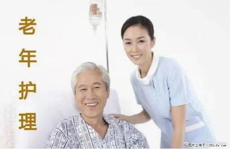 上海国企养老院，星级酒店环境，招聘养老护工 - 职场交流 - 东莞生活社区 - 东莞28生活网 dg.28life.net