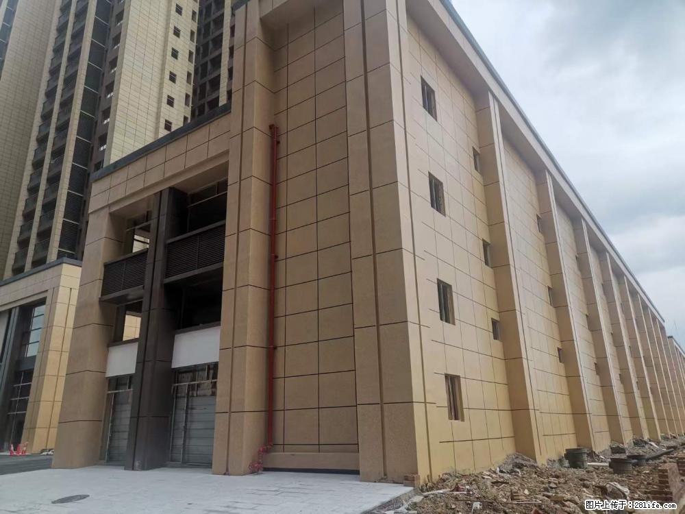 【广西三象建筑安装工程有限公司】外墙涂料工程 - 新手上路 - 东莞生活社区 - 东莞28生活网 dg.28life.net