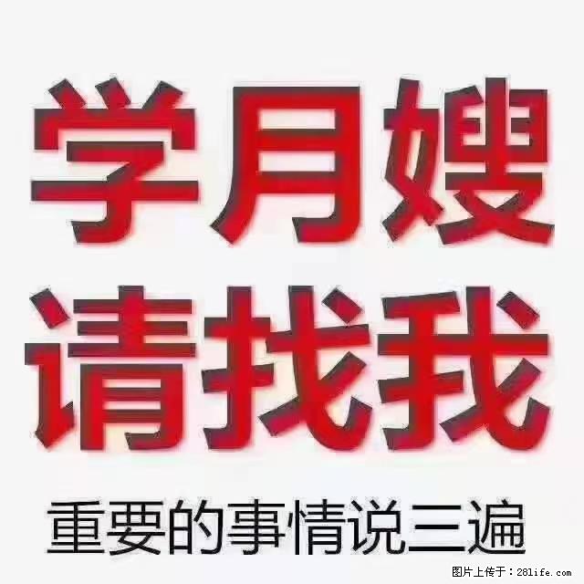 【招聘】月嫂，上海徐汇区 - 职场交流 - 东莞生活社区 - 东莞28生活网 dg.28life.net