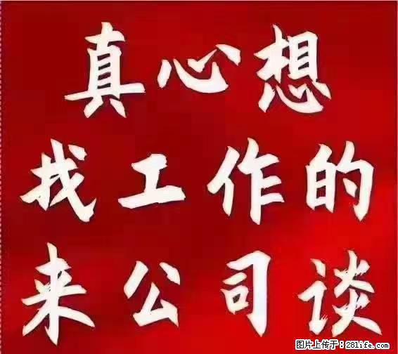 【上海】国企，医院招两名男保安，55岁以下，身高1.7米以上，无犯罪记录不良嗜好 - 职场交流 - 东莞生活社区 - 东莞28生活网 dg.28life.net
