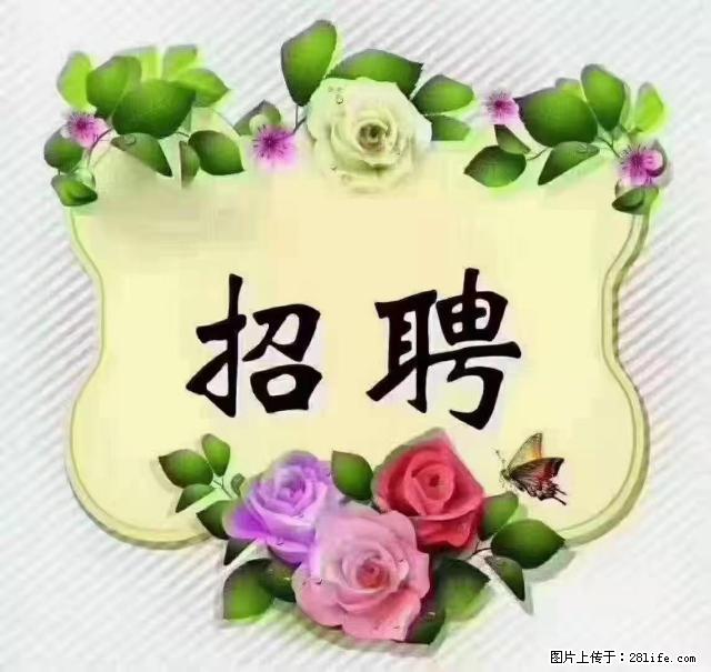 【招聘】住家育儿嫂，上户日期：4月4日，工作地址：上海 黄浦区 - 职场交流 - 东莞生活社区 - 东莞28生活网 dg.28life.net