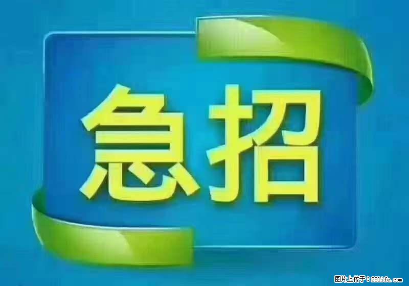 招财务，有会计证的，熟手会计1.1万底薪，上海五险一金，包住，包工作餐，做六休一 - 职场交流 - 东莞生活社区 - 东莞28生活网 dg.28life.net