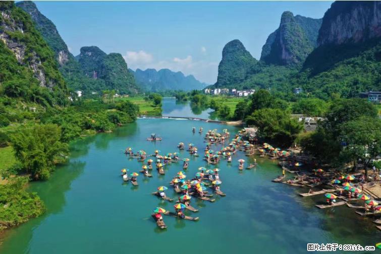 桂林市阳朔县遇龙河景区发布通知，从2022年4月5日起，骥马码头恢复营业。 - 游山玩水 - 东莞生活社区 - 东莞28生活网 dg.28life.net