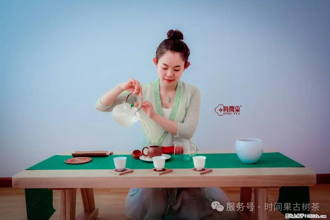 时间果百年古树龙珠普洱生茶 - 购物交流 - 东莞生活社区 - 东莞28生活网 dg.28life.net