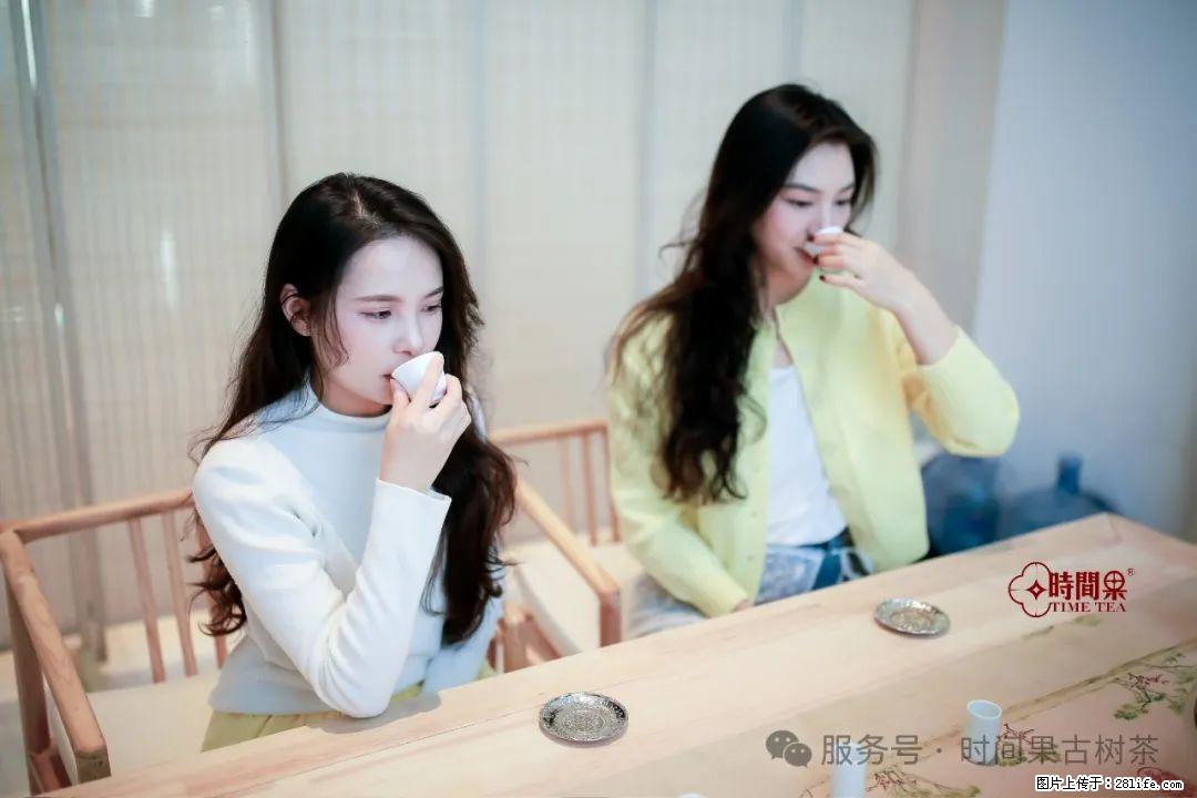 时间果百年古树龙珠普洱生茶 - 购物交流 - 东莞生活社区 - 东莞28生活网 dg.28life.net