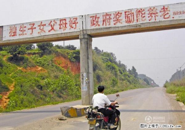 全面两孩政策计划明年元旦起实施 夫妻可延长生育假 - 东莞生活资讯 - 东莞28生活网 dg.28life.net