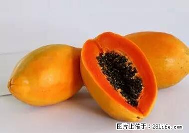 晕车、脚气、牙齿变黄、皮肤粗糙？学会这些三分钟搞定！ - 东莞生活资讯 - 东莞28生活网 dg.28life.net