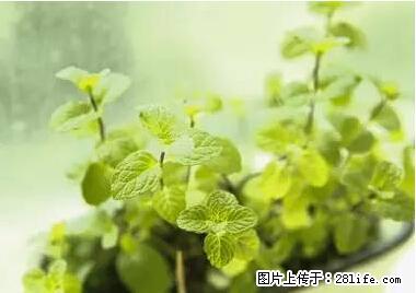 晕车、脚气、牙齿变黄、皮肤粗糙？学会这些三分钟搞定！ - 东莞生活资讯 - 东莞28生活网 dg.28life.net