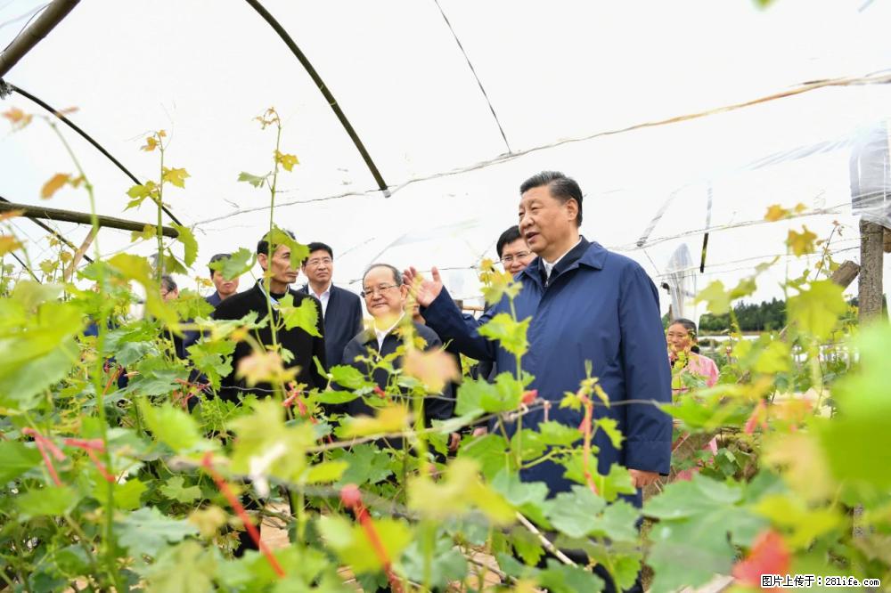 习近平赴广西考察调研 - 东莞生活资讯 - 东莞28生活网 dg.28life.net