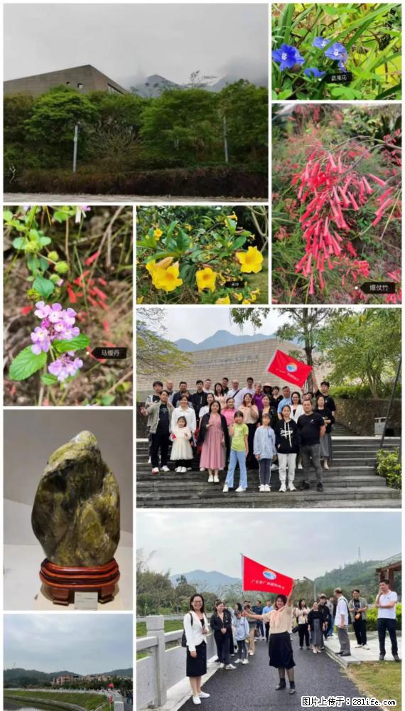 “粤灌文化 美好生活”油茶文化主题活动在广东深圳成功举办 - 东莞生活资讯 - 东莞28生活网 dg.28life.net