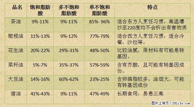 揭秘茶油的5大核心营养成分！被称为人体健康的“守护盾”！ - 东莞生活资讯 - 东莞28生活网 dg.28life.net