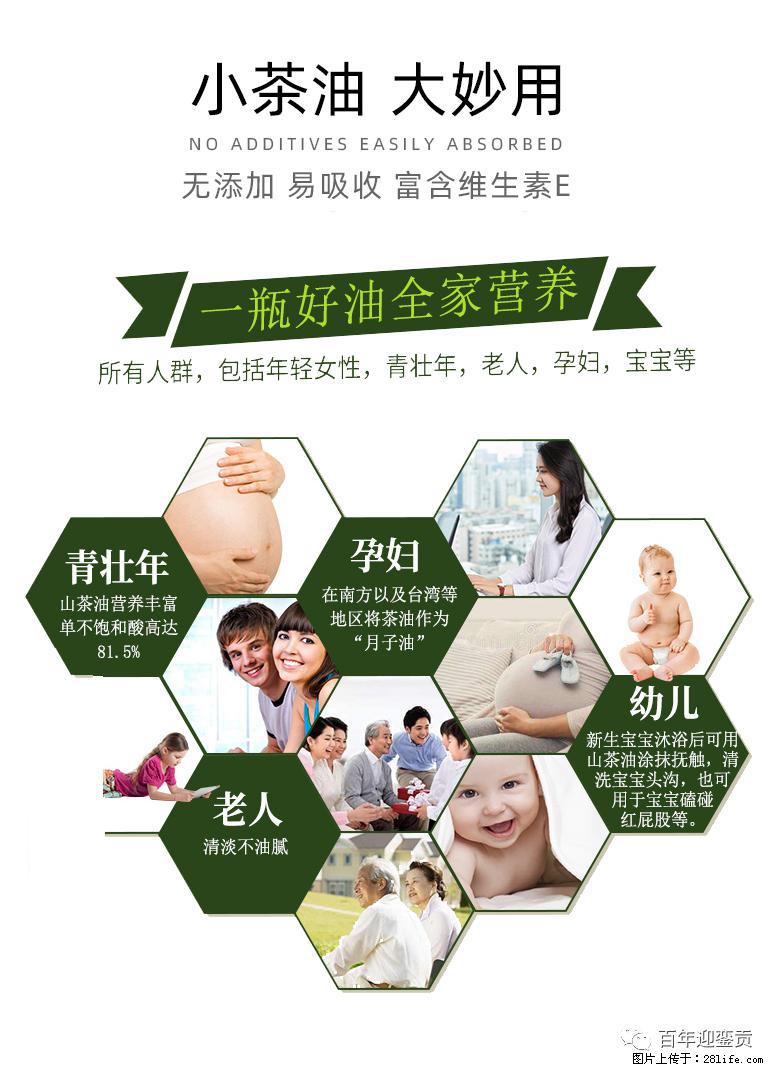 世界没有真相，只有认知，最好的食用油是中国的山茶油！ - 东莞生活资讯 - 东莞28生活网 dg.28life.net