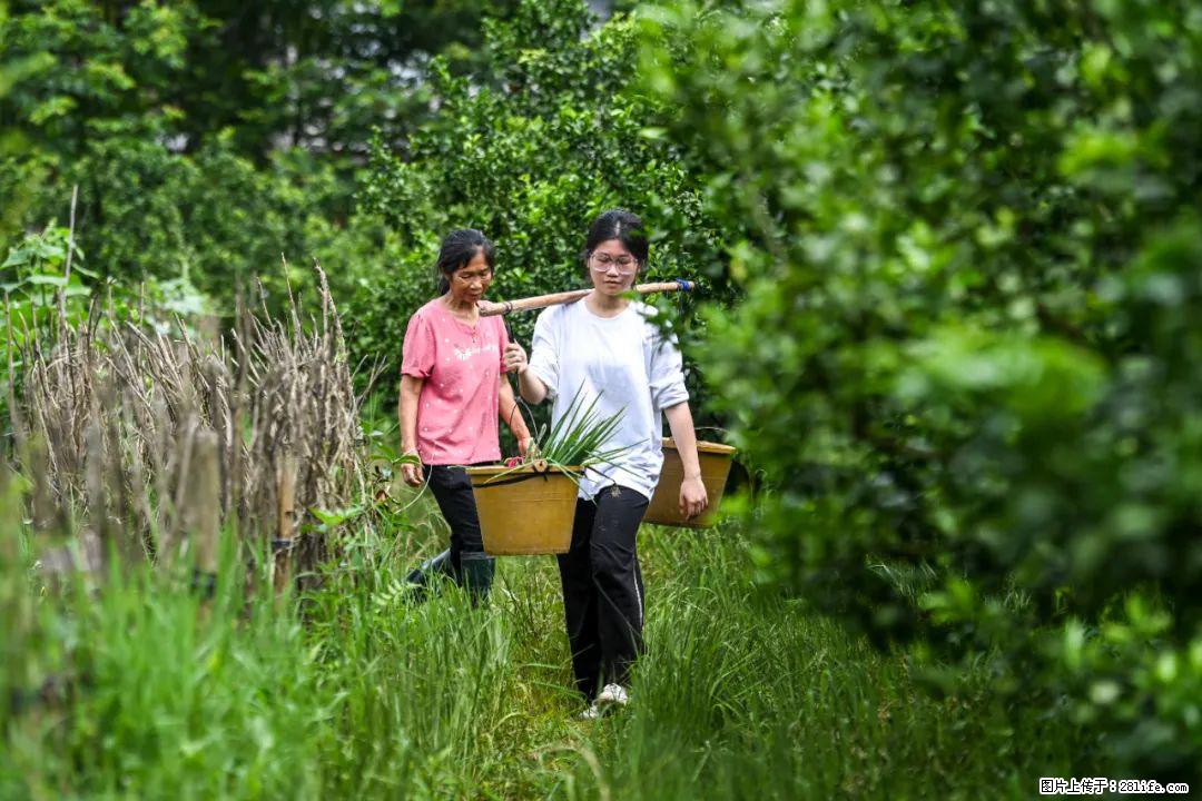 全网追的“扁担女孩”，找了一份暑假工，时薪12元 - 东莞生活资讯 - 东莞28生活网 dg.28life.net