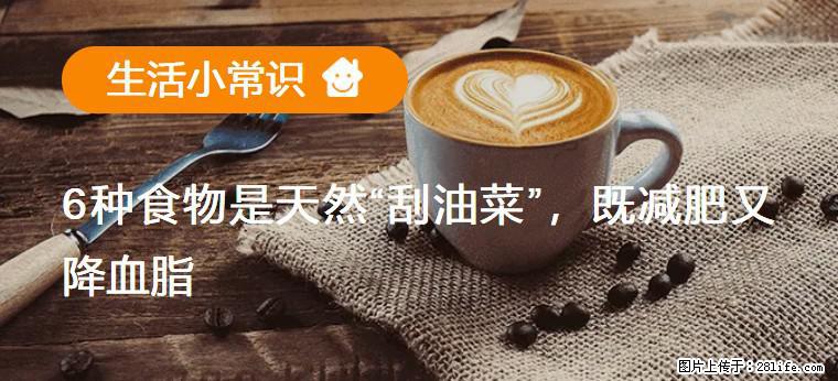 【生活小常识】6种食物是天然“刮油菜”，既减肥又降血脂 - 东莞生活资讯 - 东莞28生活网 dg.28life.net