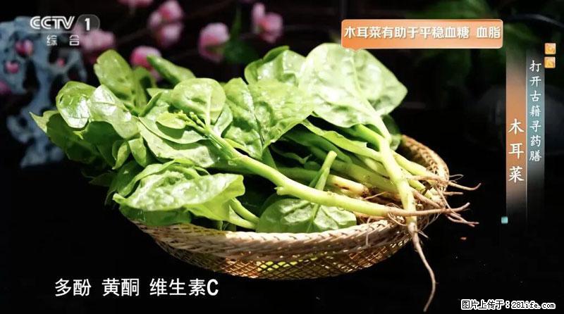 比牛奶补钙还厉害！凉血解毒、稳血糖...这菜冬天必吃，很多人却当草 - 东莞生活资讯 - 东莞28生活网 dg.28life.net