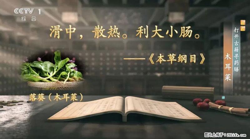 比牛奶补钙还厉害！凉血解毒、稳血糖...这菜冬天必吃，很多人却当草 - 东莞生活资讯 - 东莞28生活网 dg.28life.net
