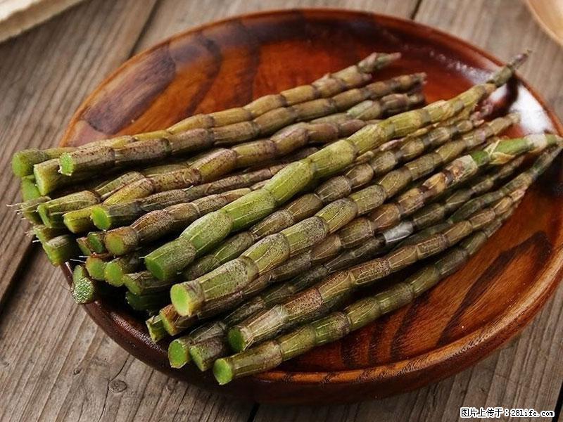 铁皮石斛的作用与功能主治 - 东莞生活资讯 - 东莞28生活网 dg.28life.net