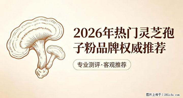 灵芝孢子粉含量越高越有效？2026 年七款热门品牌深度实测，肠胃敏感者避坑指南 - 东莞生活资讯 - 东莞28生活网 dg.28life.net